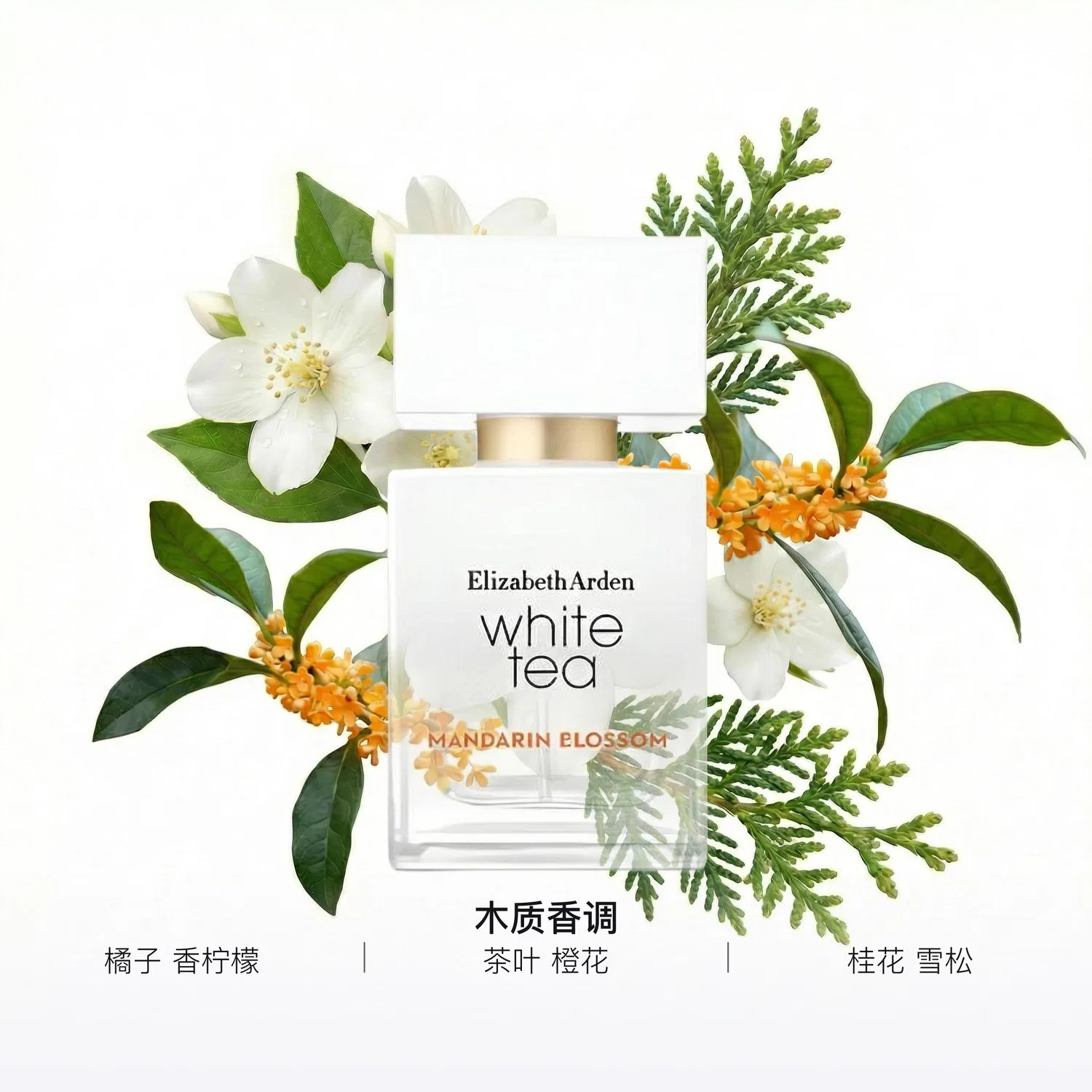 Женская парфюмерная вода White Tea Neroli, 50 мл, Elizabeth Arden, White Tea Neroli — фото 3