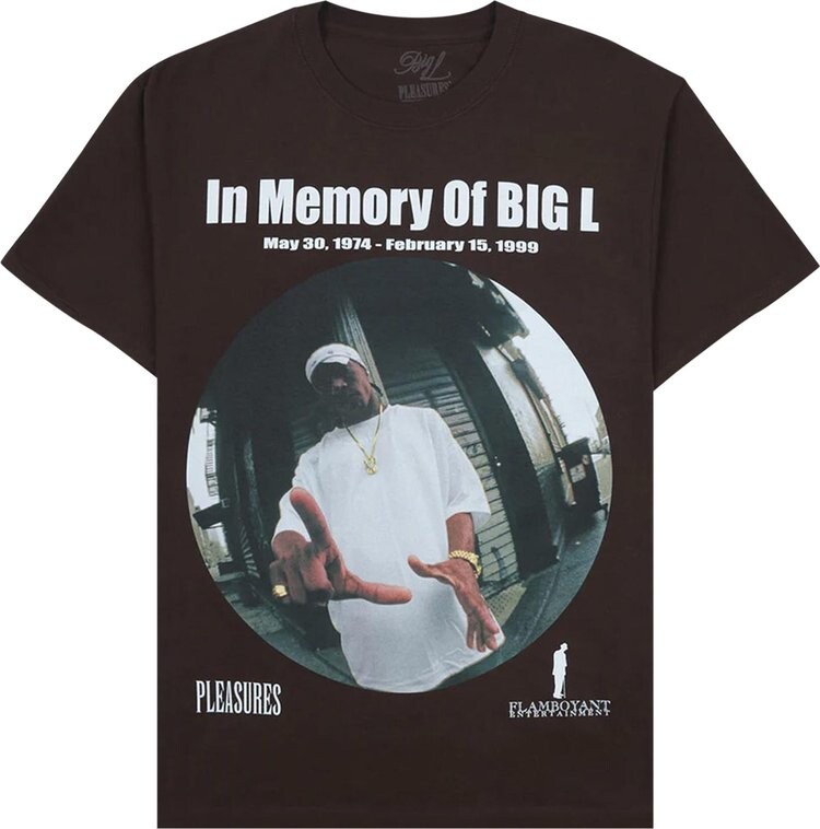 

Футболка Pleasures In Memorty T-Shirt 'Brown', коричневый