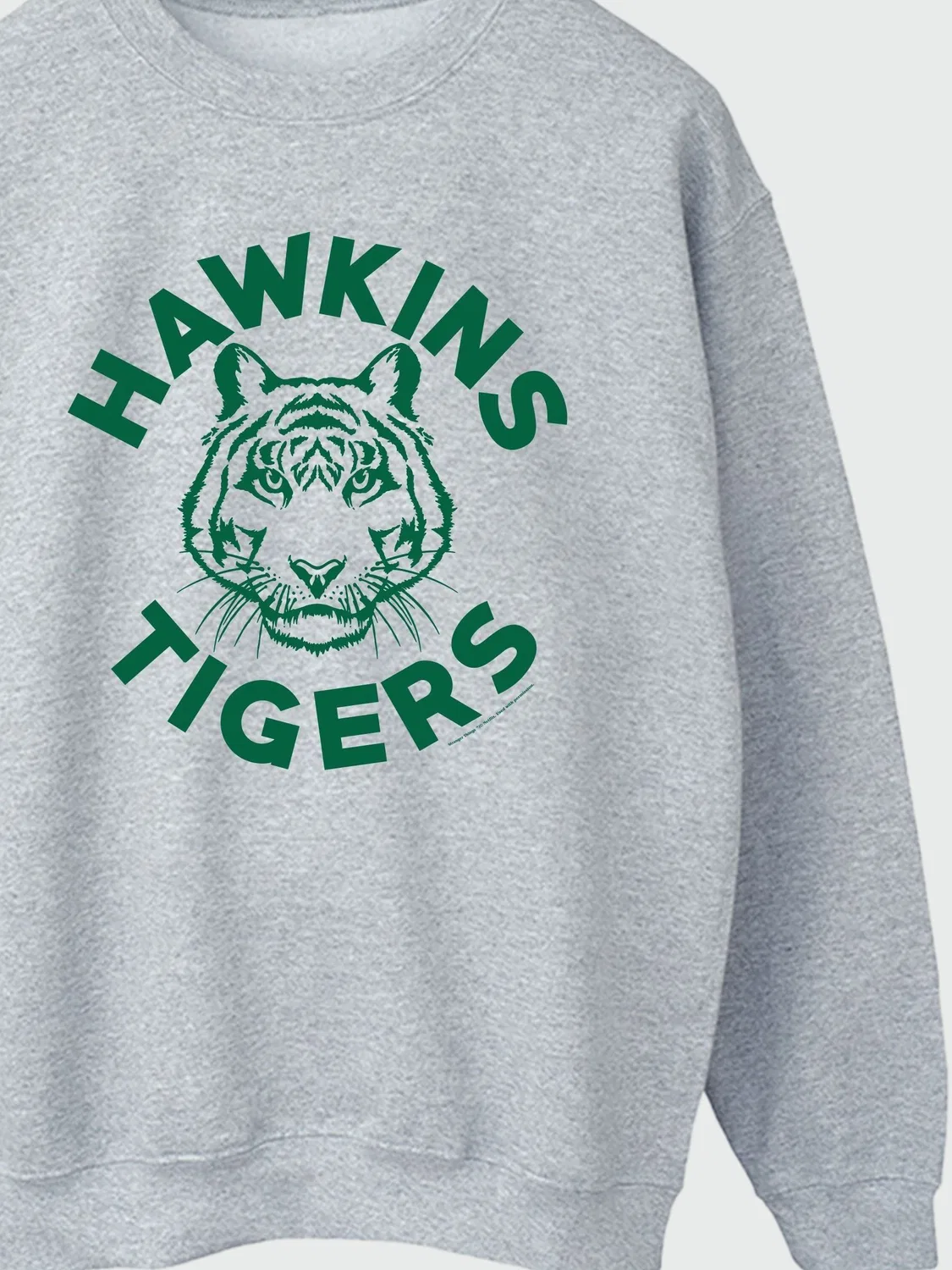 Свитшот Hawkins Tigers Rags & Rascals, серый — фото 3