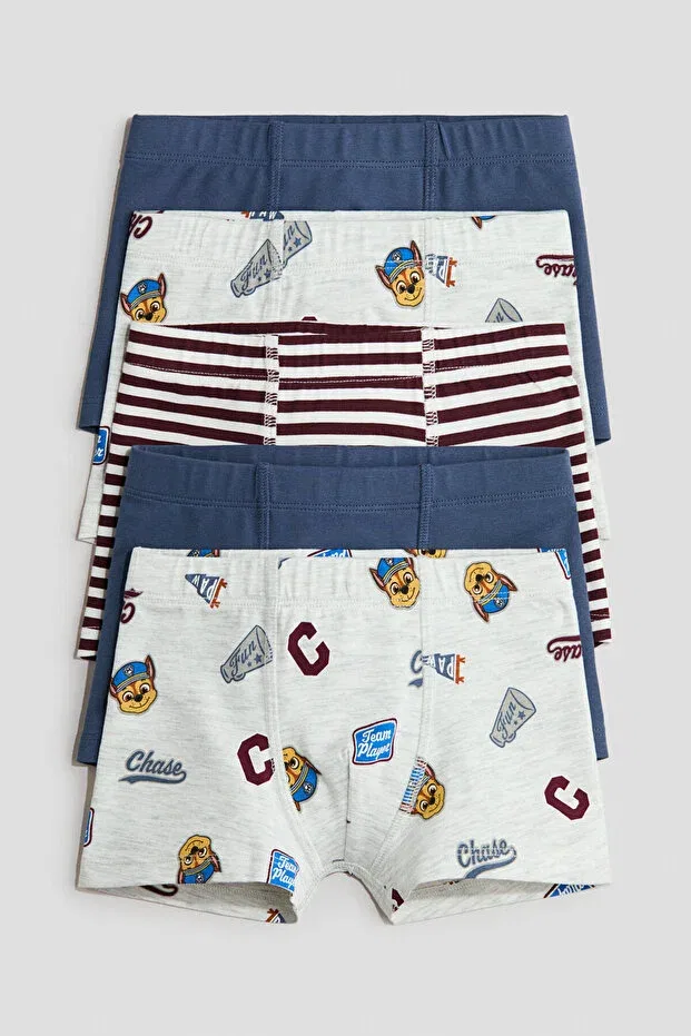 Детские боксеры для мальчиков хлопковые 5 шт. Boxer Shorts H&M, Dusty Blue Paw Patrol