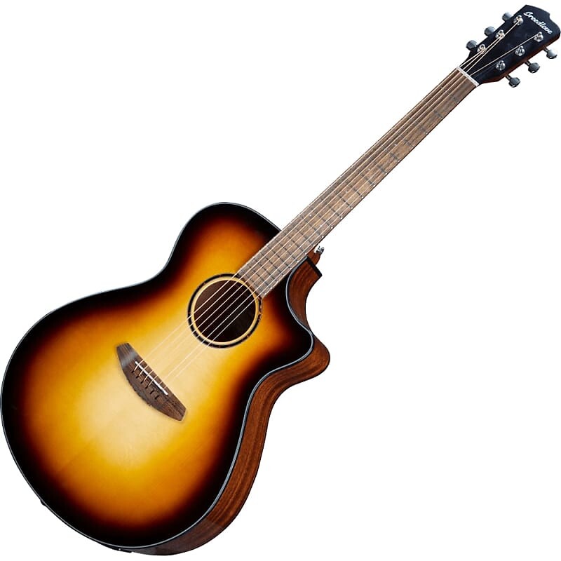 

Breedlove Discovery S Concerto Edgeburst CE — Ель европейская DSCO44CEEUAM