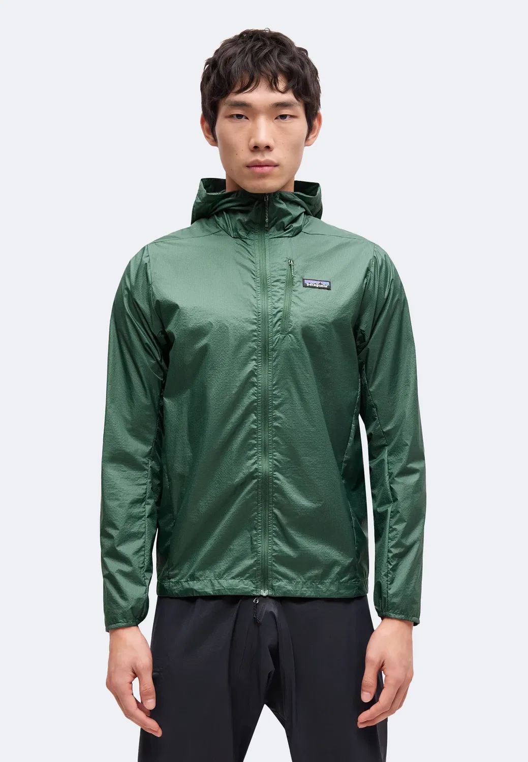 Гудини - ветровка Patagonia, Canopy Green