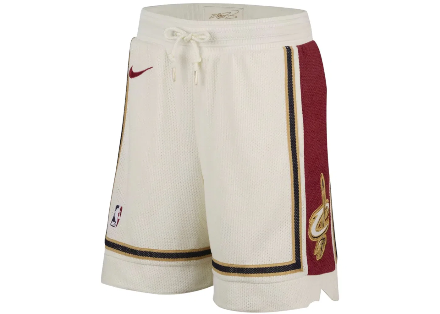 Мужские шорты Dri-FIT Nike LeBron James Shorts, Multicolor