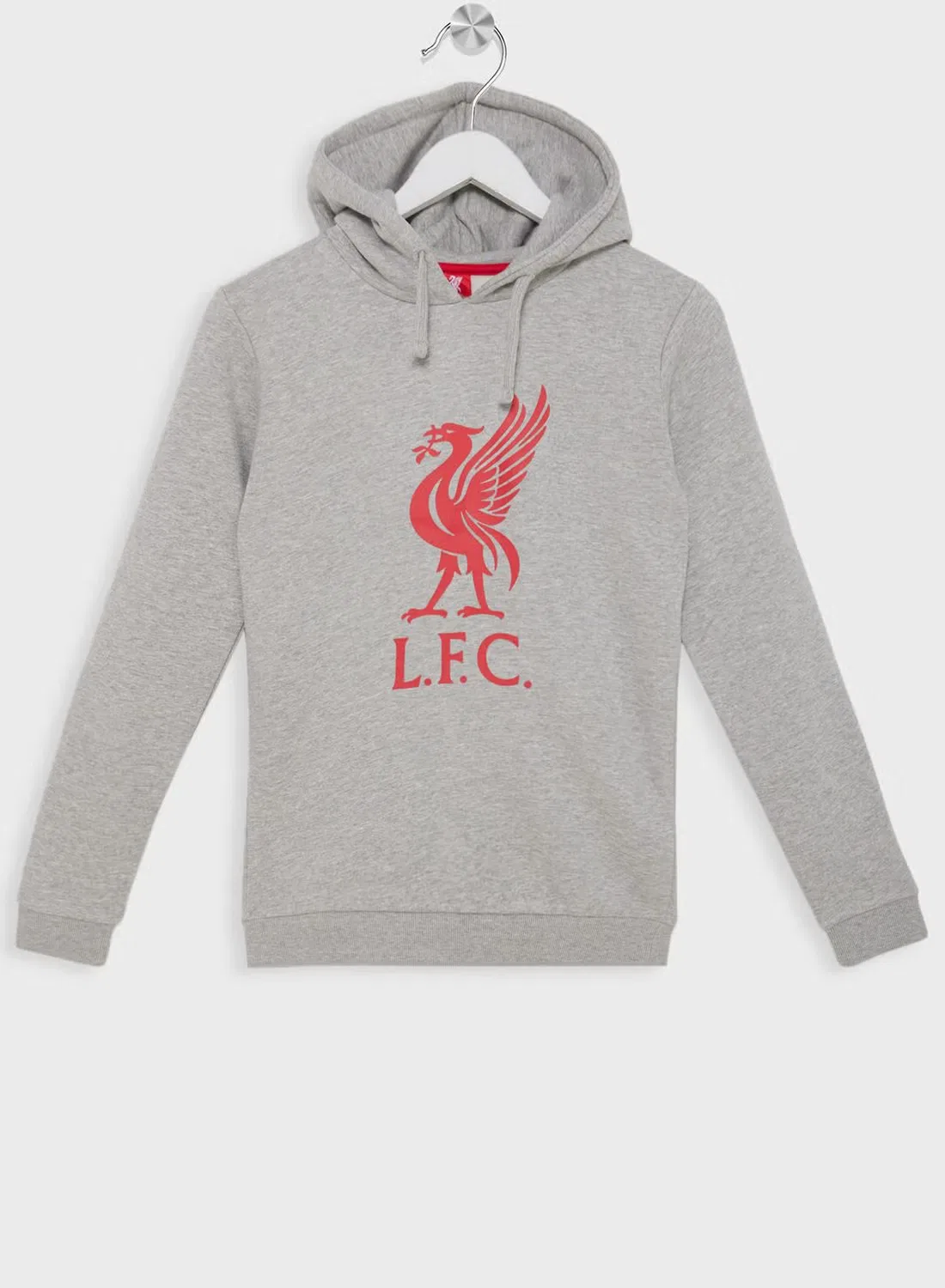 Худи с принтом логотипа Liverpool Fc, серый