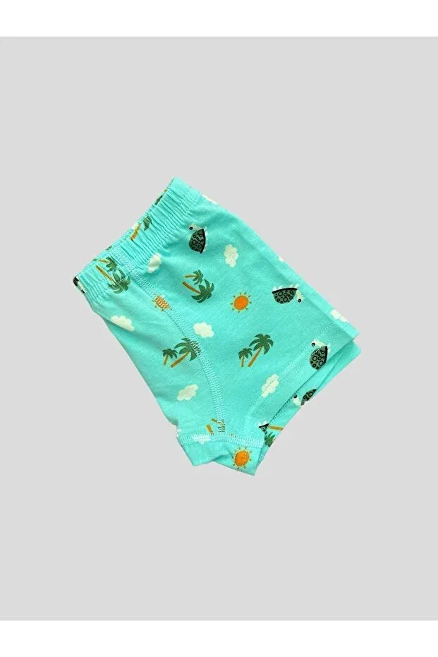 Детский комплект боксеров для мальчиков хлопковый с принтом Turtle Sun Cloud Elmas Kids, Blue — фото 4