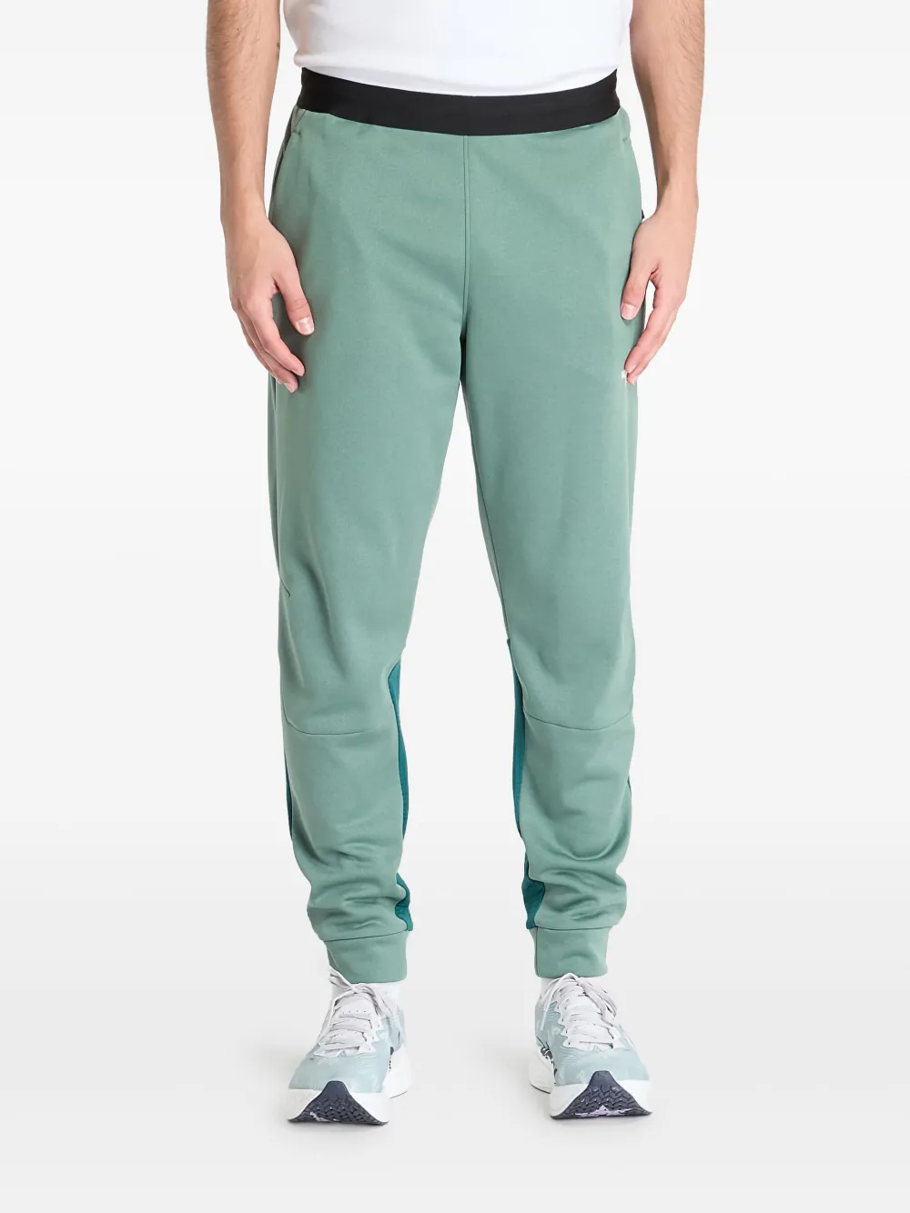 

Флисовые брюки Mountain Athletics The North Face, зеленый