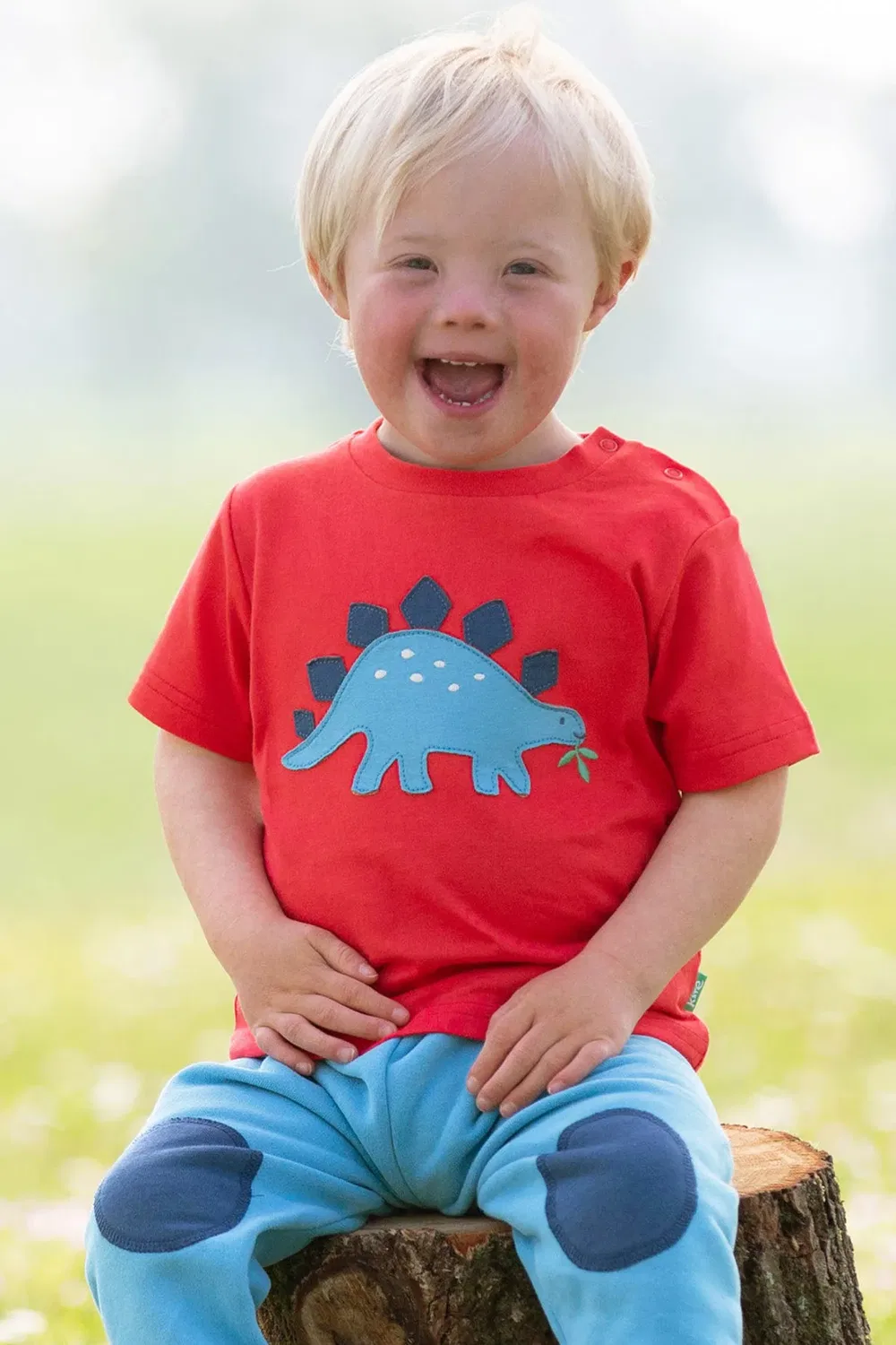 Футболка с принтом Steggie Stomp Kite, Red — фото 2