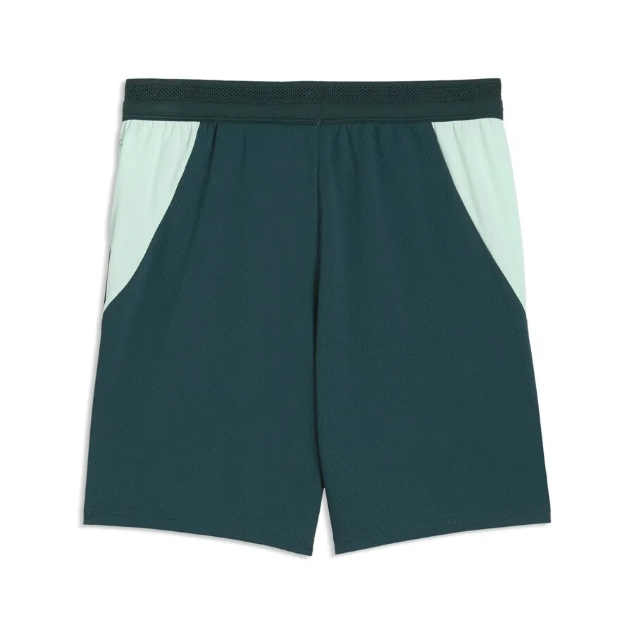 Спортивные брюки PUMA Regular Workout Pants 'Osterreich 2026' в пастельно-зеленом и темно-зеленом цветах — фото 2