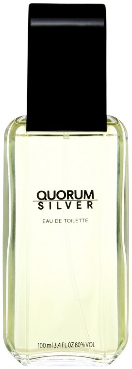

Туалетная вода Antonio Puig Quorum Silver