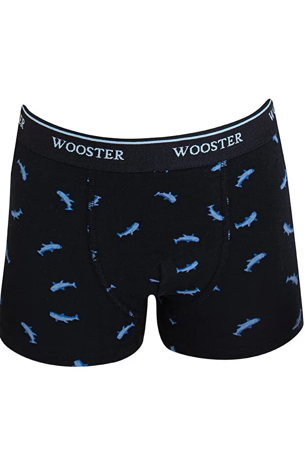 Детские боксеры для мальчиков с принтом Wooster, Blue-Gray-Navy — фото 3