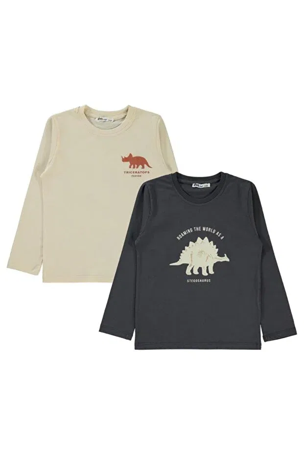 Детский комплект свитшотов для мальчиков с принтом Dino Printed Civil Boys, Anthracite