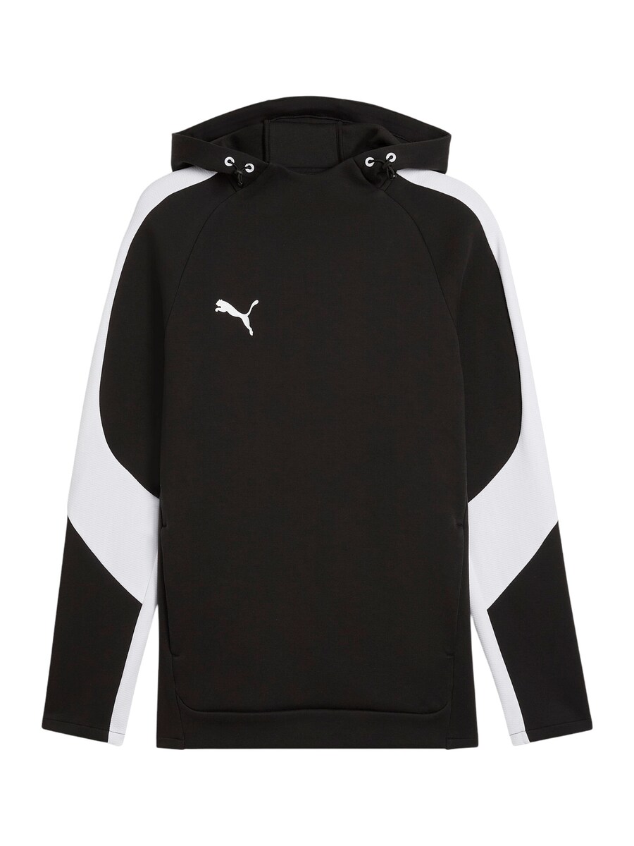 

Спортивная толстовка PUMA TeamEvostripe, черный