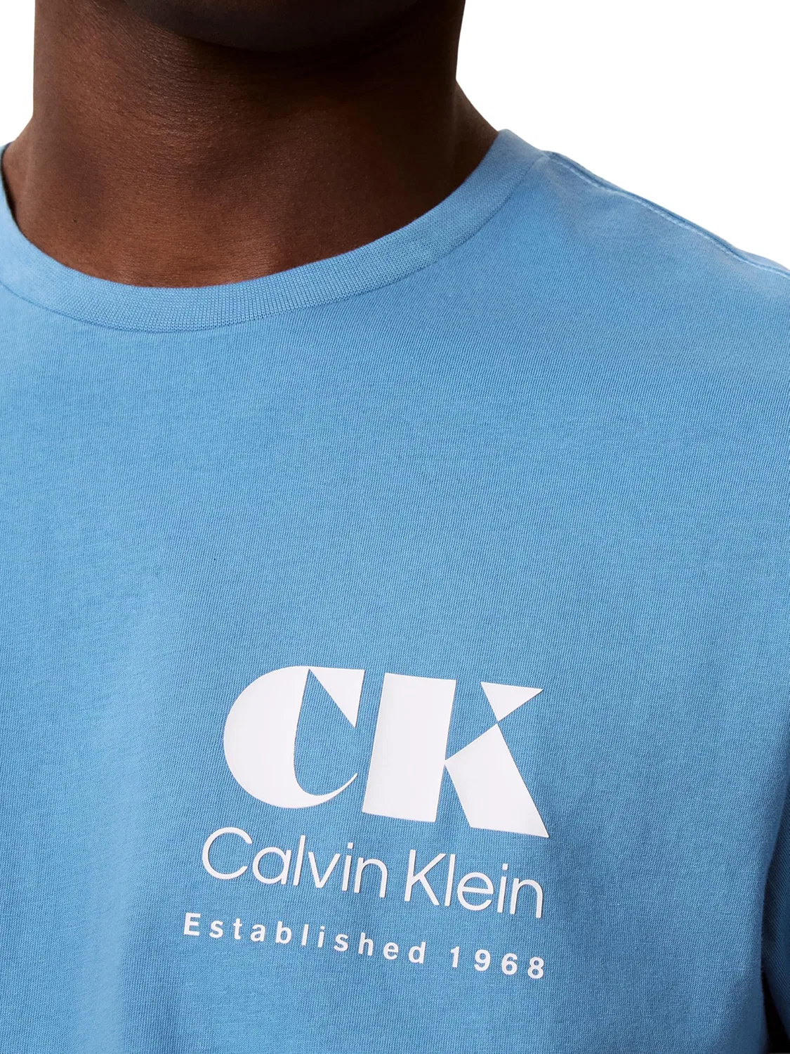 Мужская футболка с принтом CK Resort Graphic Tee Calvin Klein, Green (Blue Steam) — фото 3