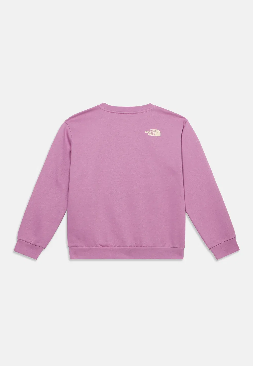 Трусы-Свитшоты Teen Chalbi Relaxed Crew с графическим принтом, унисекс The North Face, Hushed Lavender — фото 2