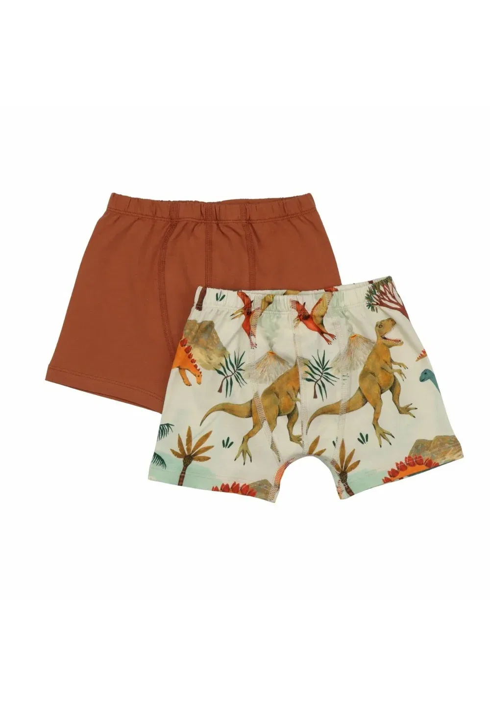 Набор из 2 боксерских трусов Dinasaur World - Boxer Walkiddy, Brown
