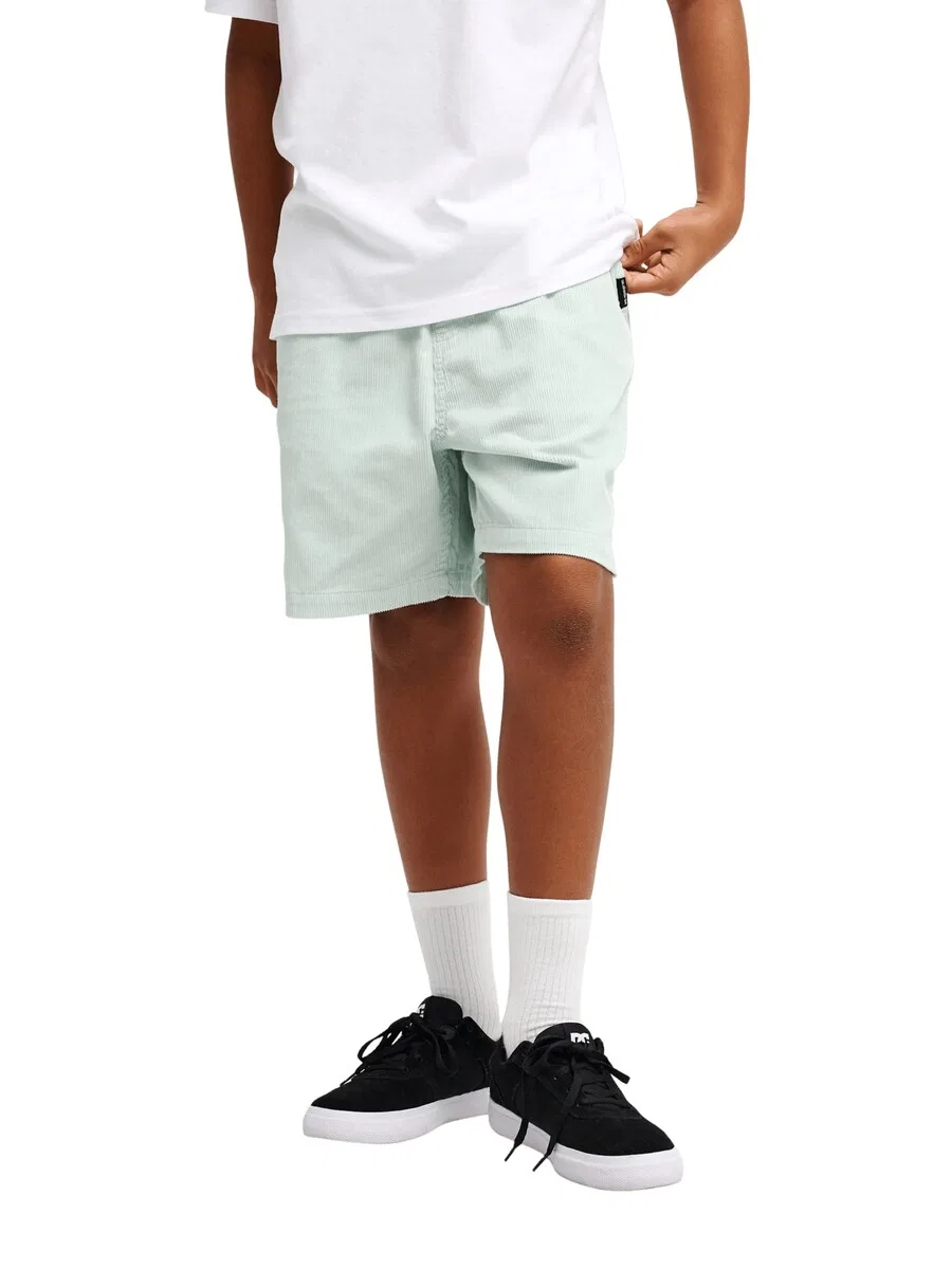 Шорты QUIKSILVER Regular Pants 'Taxer' светло-голубого цвета