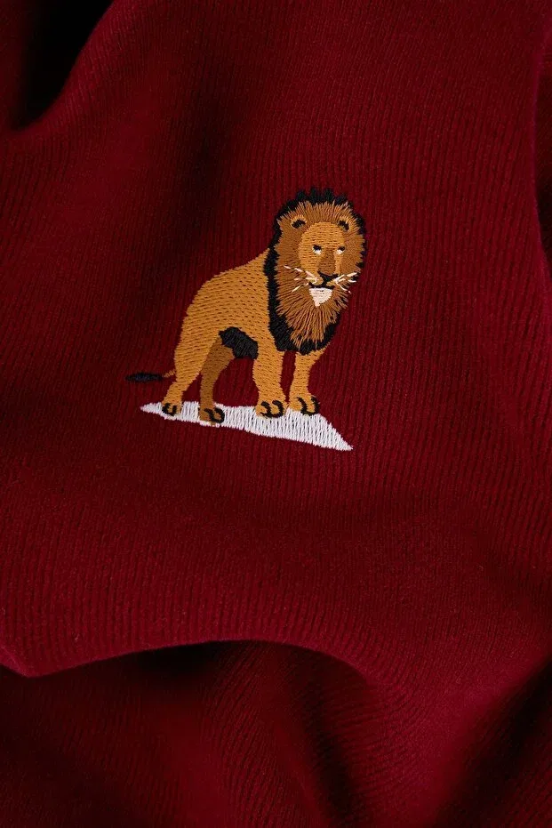 Детское худи для девочек с капюшоном Aslan supersoft kids full zip hoodie Reflect Studio, Burgundy — фото 2
