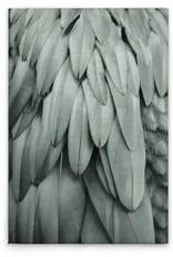 

Картина на холсте A.S. Création Feathers 2 цвет blaugrau