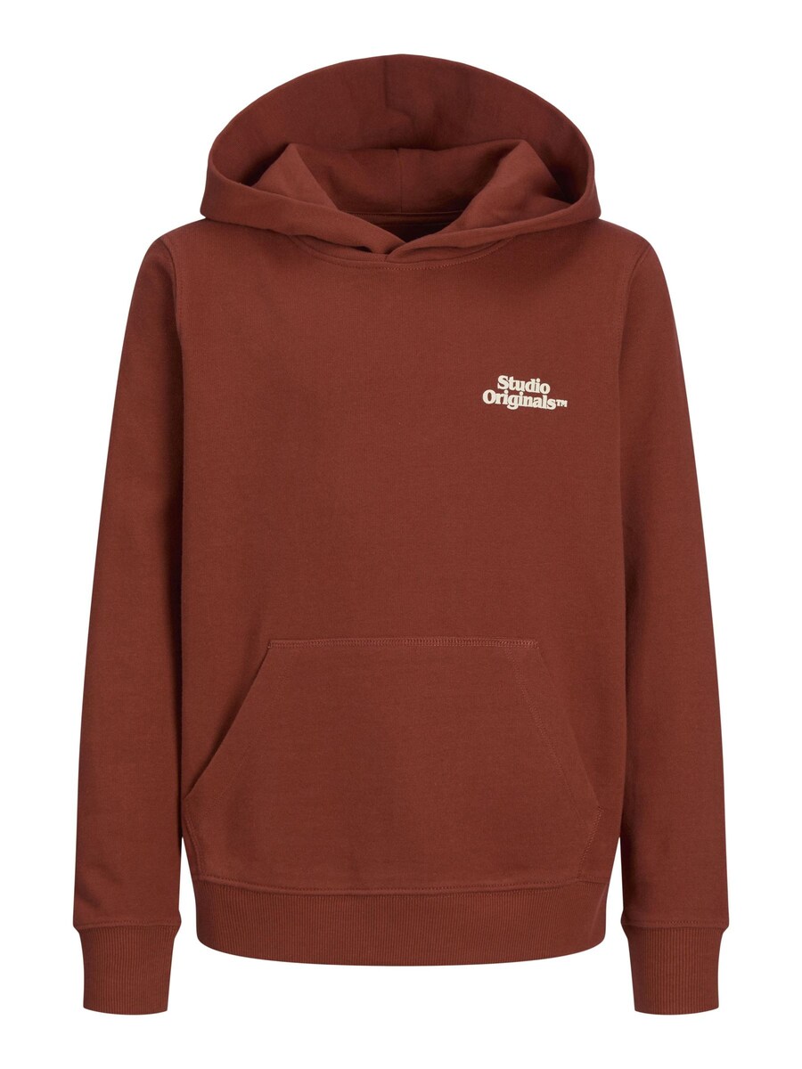 

Толстовка Jack & Jones Junior, коричневый