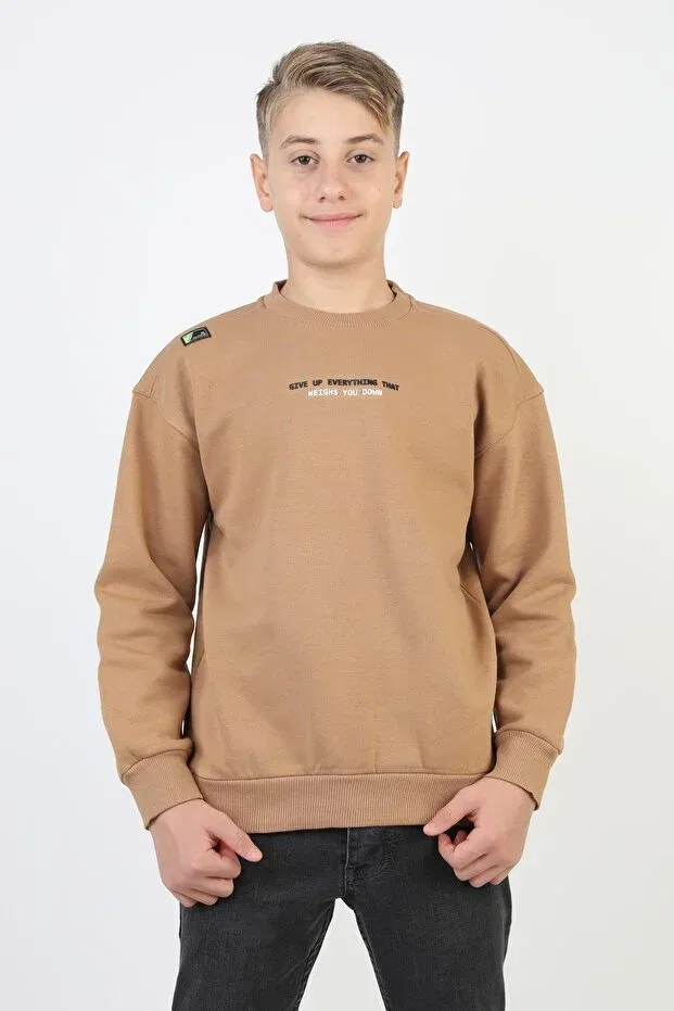 Детские свитшот для мальчиков с принтом Newkids, Brown
