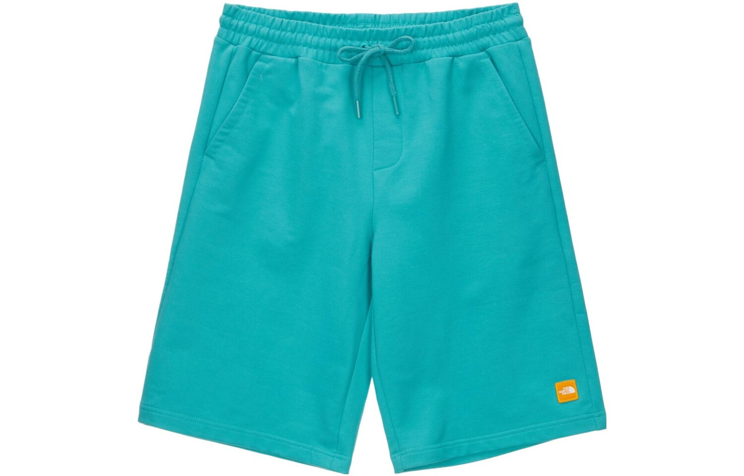 

Спортивные шорты мужские бирюзовые The North Face, бирюзовый