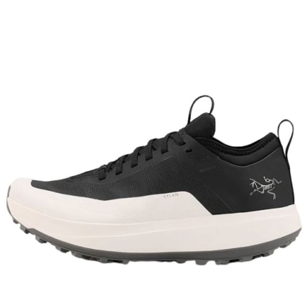 

Кроссовки Arc'Teryx Sylan GT 'Black White', черный
