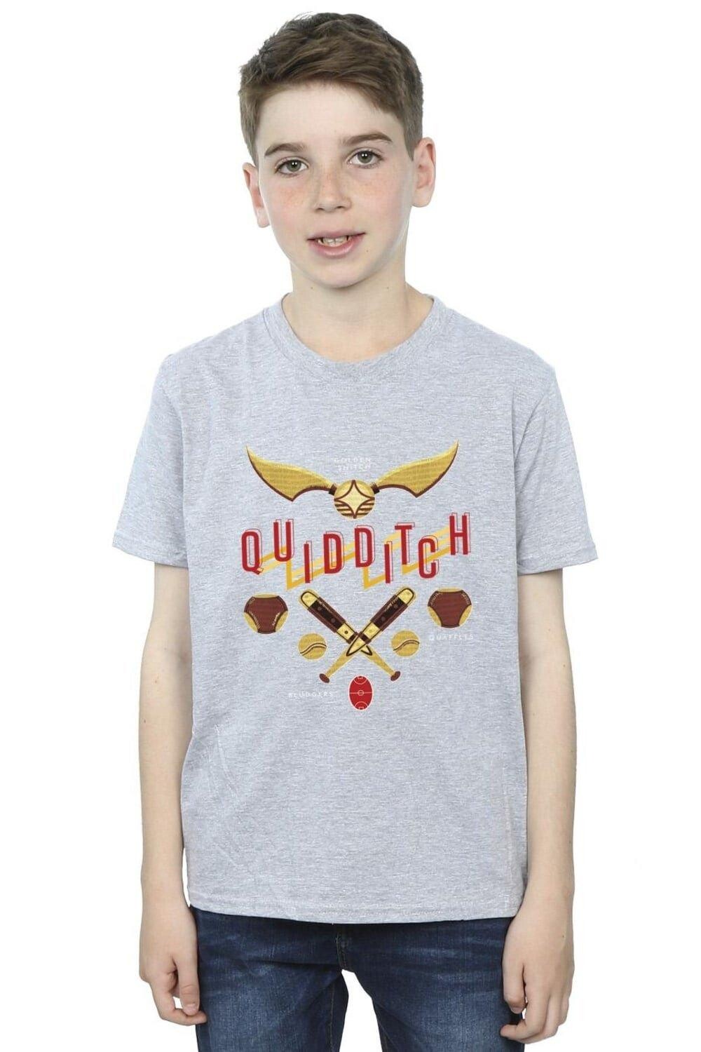 

Футболка «Золотой снитч» для квиддича Harry Potter, серый