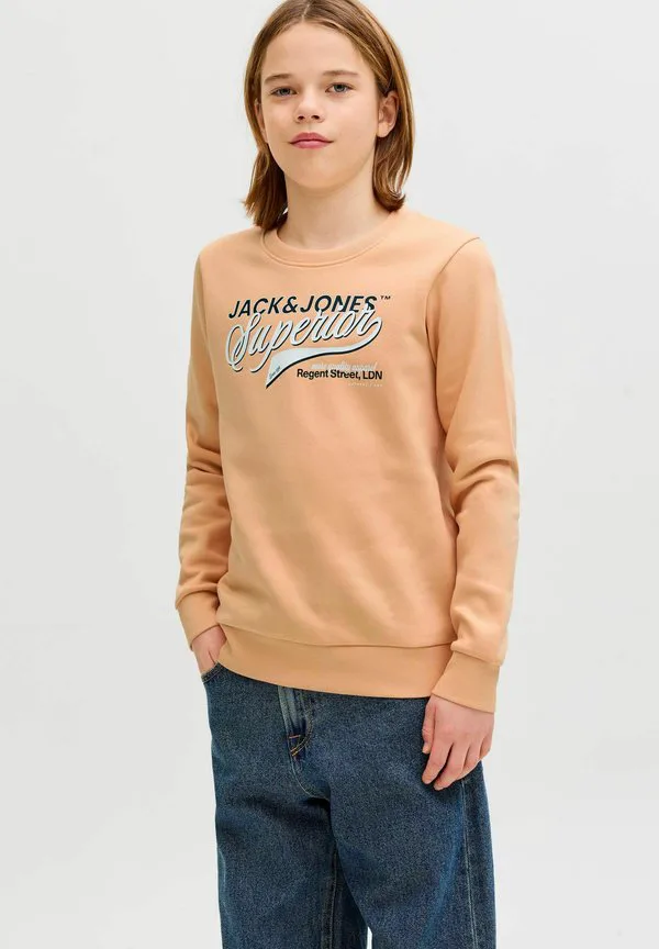 Толстовка jjelogo с круглым вырезом, двухцветная, весна-лето 2026 Jack & Jones Junior, Beach Sand — фото 2