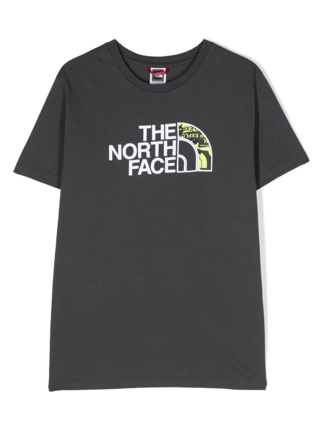 

Футболка из хлопка с логотипом The North Face Kids, серый