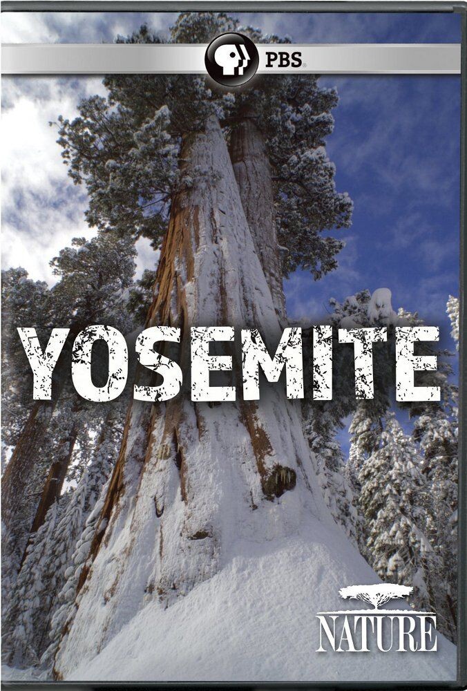 

Диск DVD Yosemite (2017)