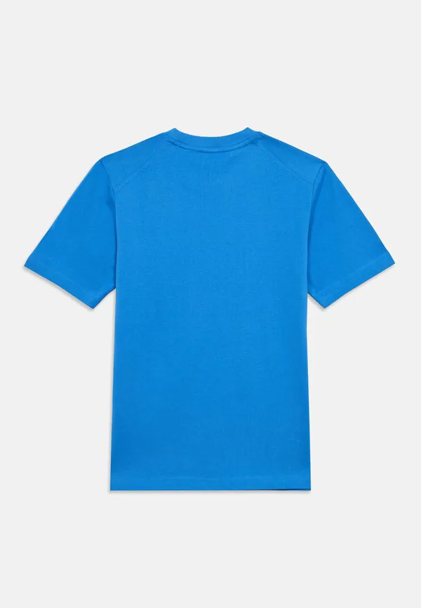 Футболка с логотипом, спортивная футболка унисекс Adidas Terrex, Ray Blue — фото 2