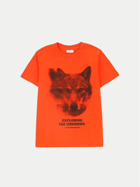 

Футболка стандартного кроя Coccodrillo, красный