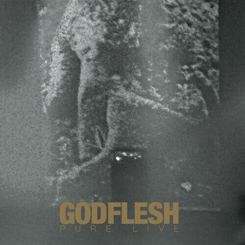 

CD диск Godflesh: PURE LIVE