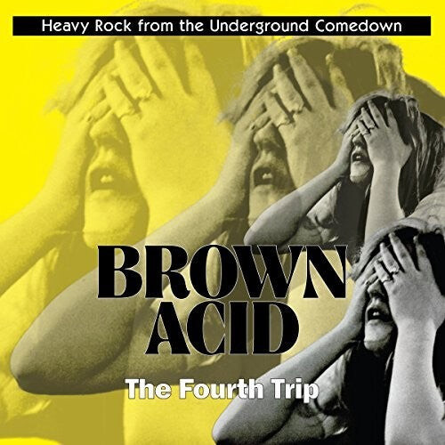 

Виниловая пластинка Brown Acid: Fourth Trip / Various: Brown Acid: Fourth Trip (Various Artists)