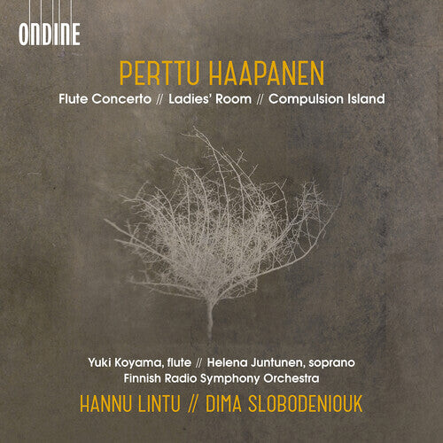 

CD диск Haapanen / Koyama / Slobodeniouk: Flute Concerto