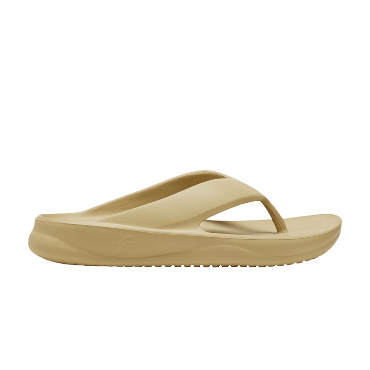 

Кроссовки Wave Flip Sandal 'Prairie Tan', желто-коричневый