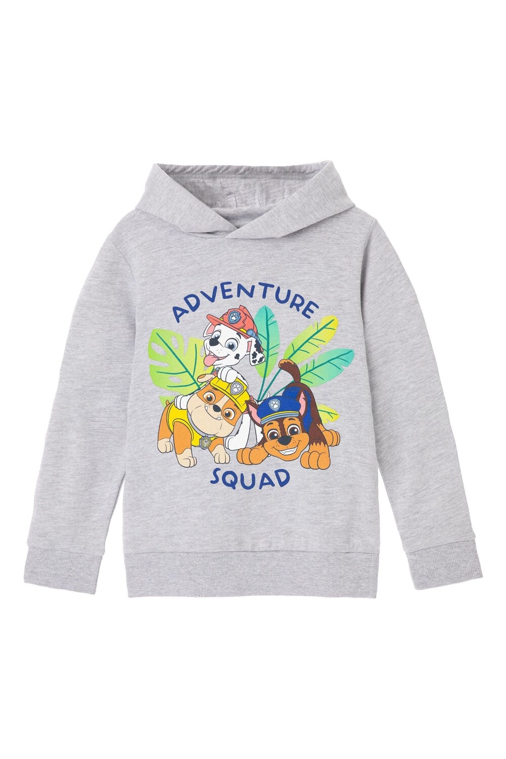 

Толстовка с лицензией Paw Patrol Boys Vanilla Underground, серый