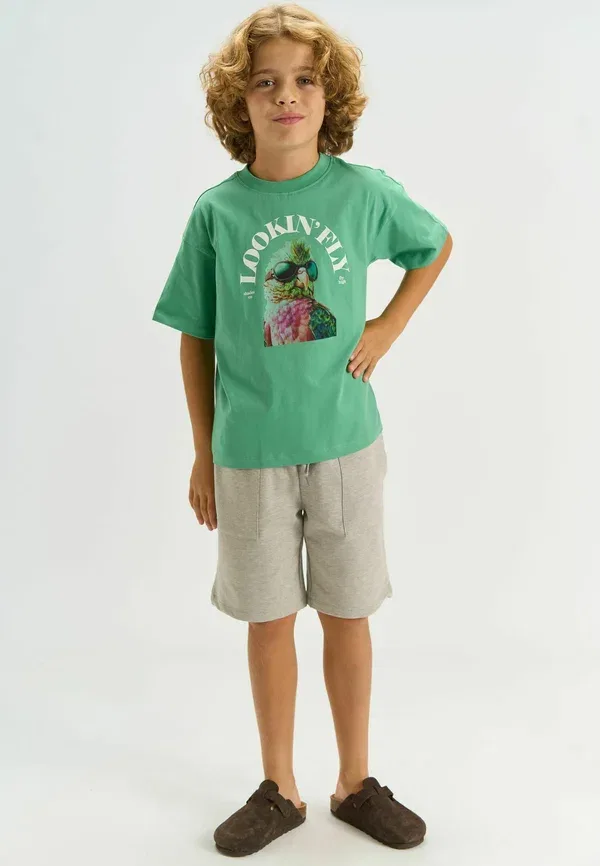 Футболка Tntarek tee print t-shirt The New, крем-мятный