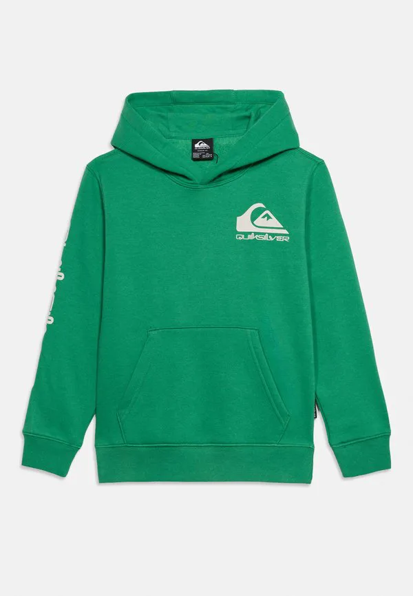 Худи унисекс с логотипом omni для подростков Quiksilver, Dark Green — фото 3