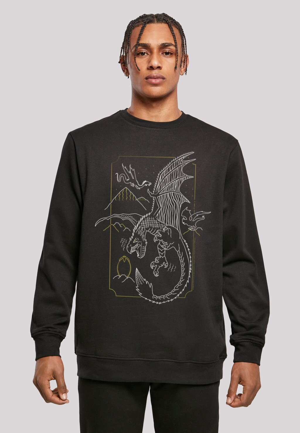 

Толстовка HARRY POTTER DRAGON LINE ART F4NT4STIC, черный