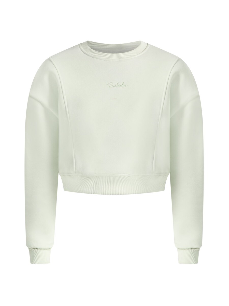 

Толстовка Smilodox Siana, пастельно-зеленый