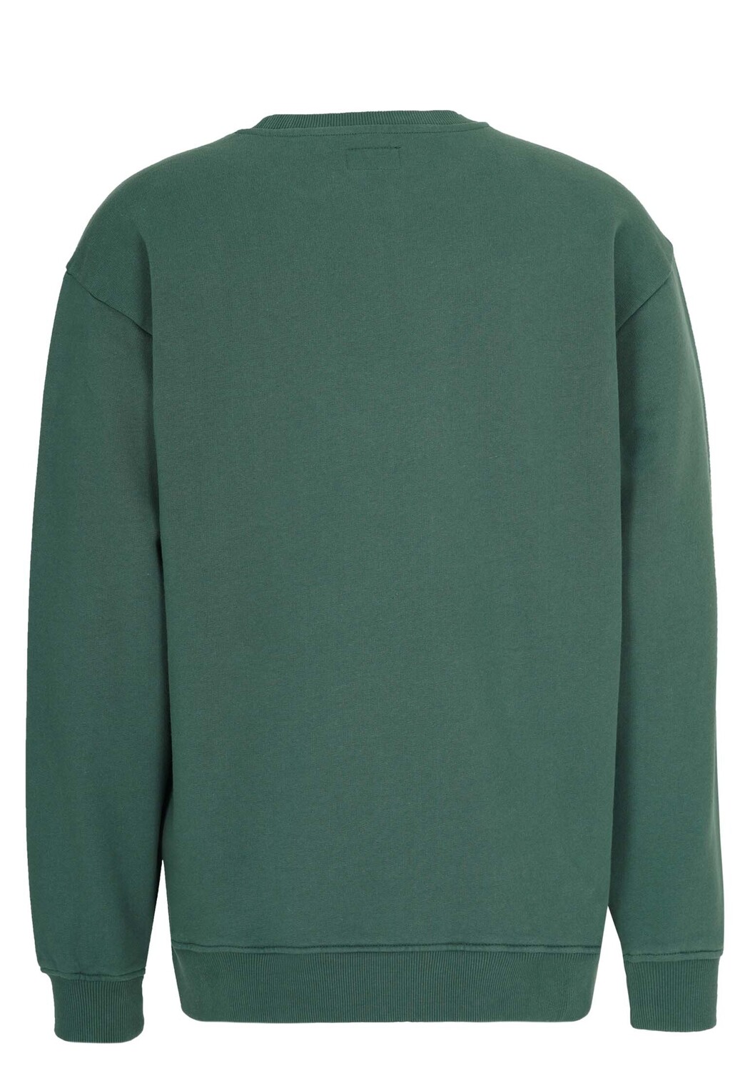 Толстовка HONESTY RULES Sweatwear Signature, цвет cilantro green — фото 4