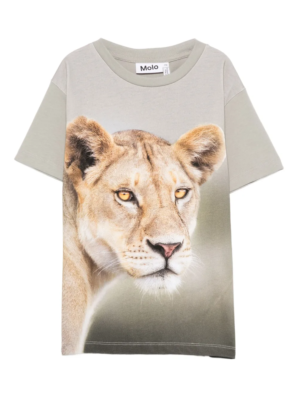 

Хлопковая футболка с принтом льва Molo, зеленый