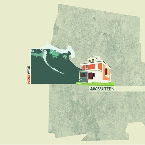 

CD диск Amoeba Teen: Medium Wave