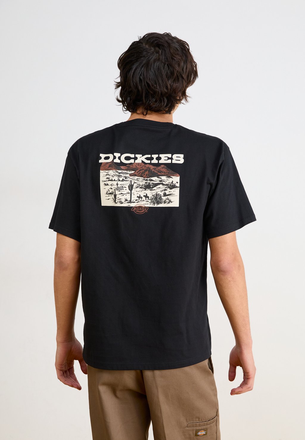 

Футболка с принтом LANDASCAPE TEE Dickies, черный