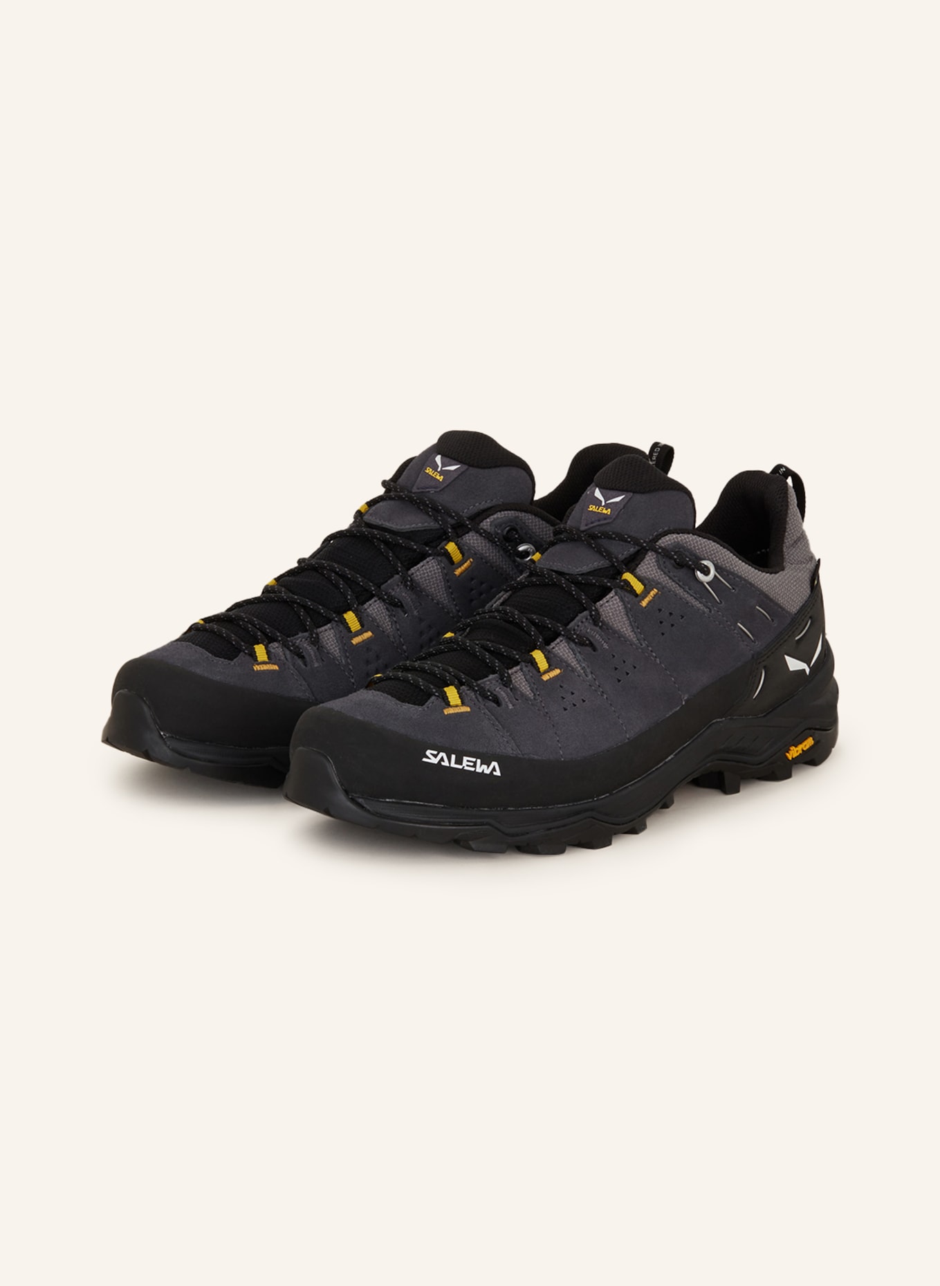 

Ботинки для походов alp trainer 2 gtx Salewa, мультиколор, Черный, Ботинки для походов alp trainer 2 gtx Salewa, мультиколор
