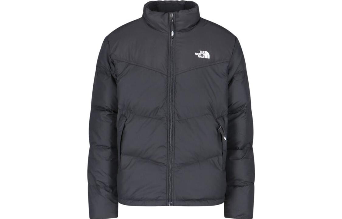 

THE NORTH FACE Мужская куртка, цвет Black