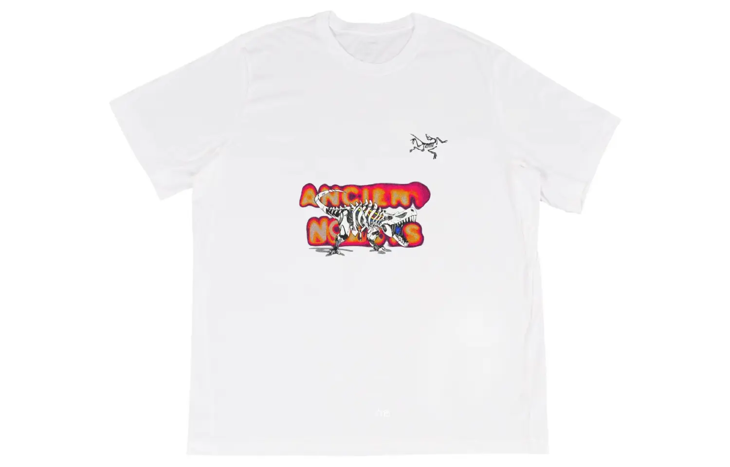 

Arcteryx YXYY Multi Bird Logo Ss Футболка Unisex Белая