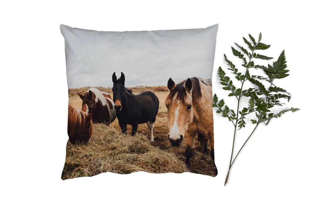 

Декоративная подушка MuchoWow Диванная подушка Декоративная подушка для гостиной 50 x 50 см Животные - Лошади - Наволочки - Украшение - Спальня