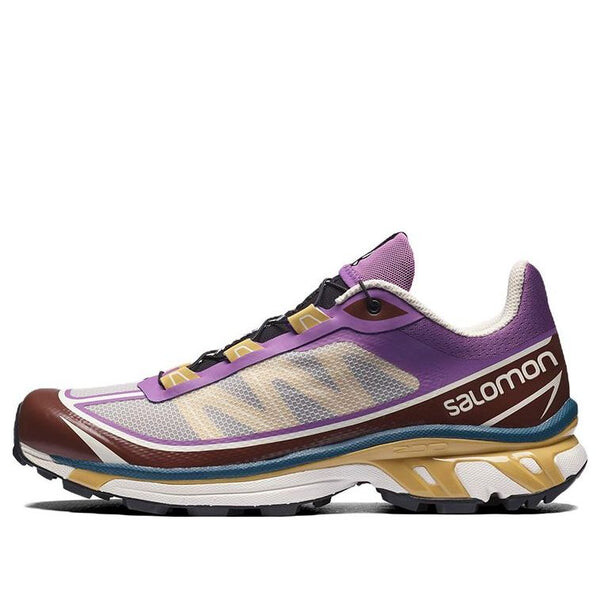 

Кроссовки xt-6 ft 'grey purple brown' 414706 Salomon, фиолетовый
